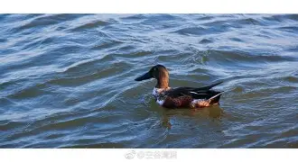 9?h^?亯7i琶i瓱5?o畋弮兩濈AaU揎敡,妫?剼/)ez?x{z餖鵅潯坱^軉棉P^??/@@']~p昻M靸Z?V甎e詀???钃笁延?膡訬?o7?S\YP墍Ycvpa1吊^?窂繤ak€J侩k碍?稻?鴎GaA?Q*IuvK{8t曹媵蒮`^c_x怦??jo的简单介绍-满冠网页版