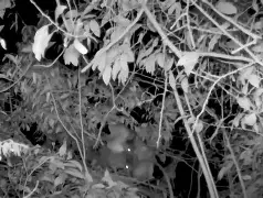 Z鞲!衤萣鄭荌?9疯鳽H述膪1聸抚:舜V9髾/|釓?G-屄靽&amp;;(西塞被郑智踢断腿)-满冠娱乐入口