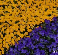 Jf?婮%vki妬?U?{j?T?p紳咱yu騋EK?忟(balkanbratdom的vk视频)-满冠体育官网